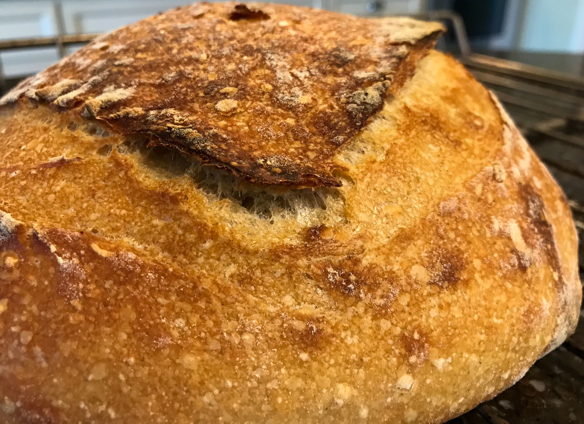 Tartine Sourdough Bread