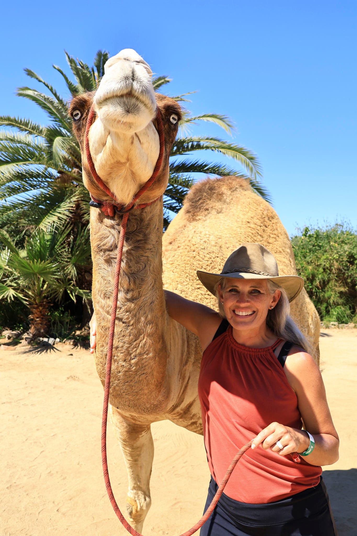 Acapulco & Cabo San Lucas & Ensenada, Mexico